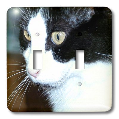 Double interrupteur à bascule pour chat pour remplacer vos plaques électriques usées