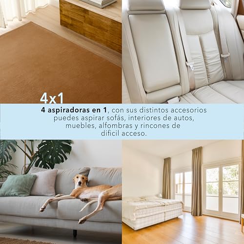 Reviews de Aspiradoras para alfombras que puedes comprar esta semana. 30 Imagen adicional