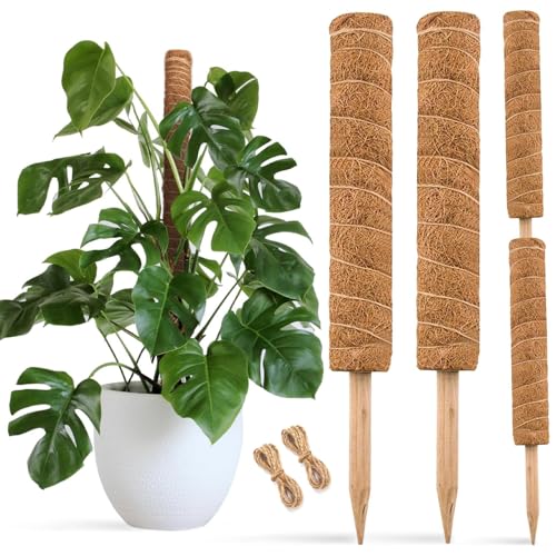 Comparison: Best Pots For Monstera 5 JOYSEUS 30 Inch Moss Pole for Climbing Plants - 2 Pack 15 Inch Coir Totem Pole Plant Support with 65 Feet Garden Twist Tie for Monstera and Potted Plants to Grow Upwards…