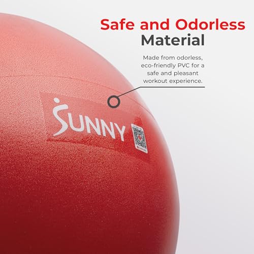 Sunny Health & Fitness 9" Premium Anti-Burst Exercise & Stability Ball - image 4