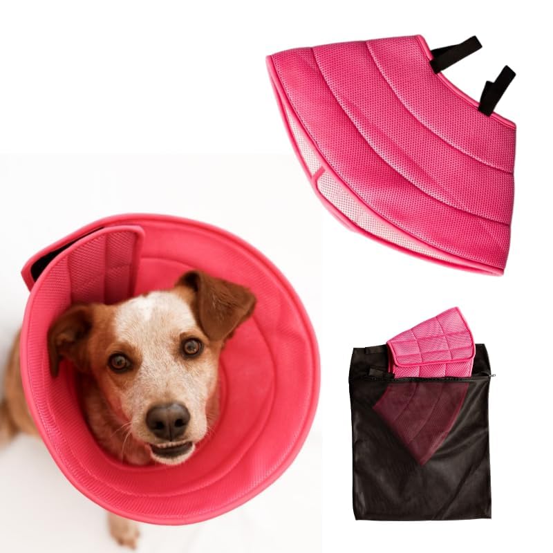 Image of Generic Small Pet Recovery Collars Small Pink