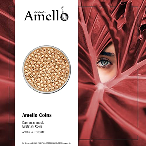 Adamello Coin in acciaio inox-gioielli Coin con