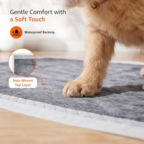 Image of AmazonBasics Pet Pee Pads for Potty Training | Carbon Activated | XL 71 x 86 cm| 50 Pieces | Leak-Proof Quick Dry Design, 5-Layers, for All Dogs and Puppies (Carbon Activated, XL Size, 50 Pads)