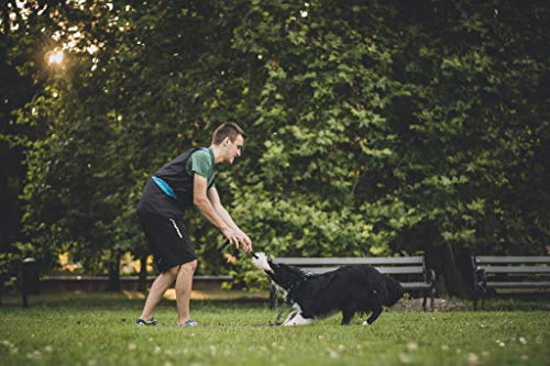Dingo Hundespielzeug Schaf Pelz Naturfell mit Bungee-Griff Agility Apporte Motivation Spiel Zerrspielzeuge Training Grün Griff 15581