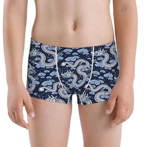 Boys' Cotton Boxer Brief Soft Underwear-Dragon