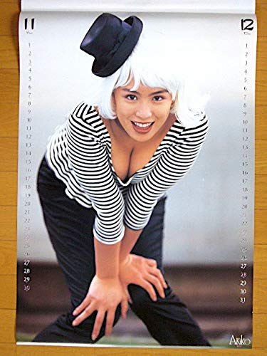 Amazon.co.jp: 1997年 雛形あきこ B2 カレンダー : 文房具・オフィス用品