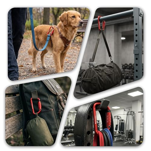 Image of FresKaro 3inch 12kN-2698lbs Auto Locking Carabiner Clips, Solid D Shape, Heavy Duty 7075 Aluminum, Lightweight 1.09oz, Rust Proof, for Hammock, Hiking, Dog Leash, Keychain etc., Multi-Colors