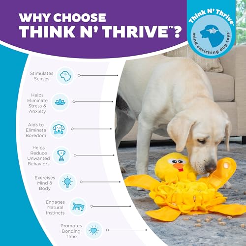 Outward Hound by Nina Ottosson Snuffle Palz Tapete de pelúcia Snuffle para cães, antiderrapante, ama