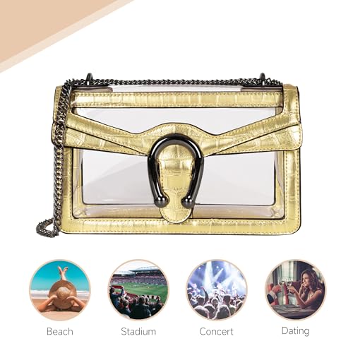 Image of Joryin Women's Stadium Approved Crossbody Bag for Women, Small Clear Bag Shoudler Purse with Chain Strap