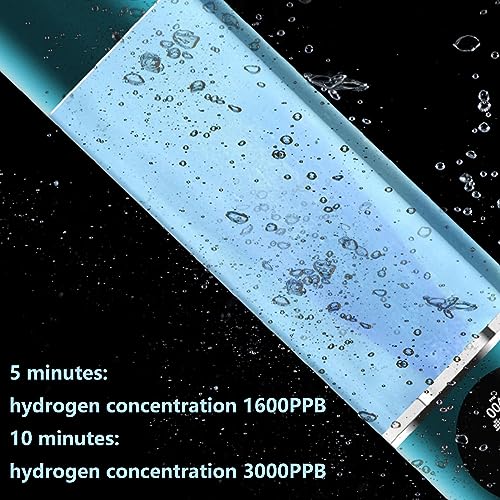 Machine d'ioniseur d'eau hydrogène SPE PEM de 260 ml pour boisson saine