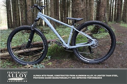 Eastern Bikes Alpaka 29