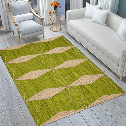 Tapis tissé à plat propre sous vide carpette de salon robuste