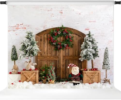 Amazon.com : Kate Christmas Barn Door Backdrop Snowy Trees Christmas ...