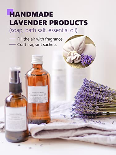Image of TeeLux Lavender Flowers Tea, Dried Lavender Buds for Drinks, Baking, DIY Beauty, Crafts, Sachets, Delightful Aroma, Caffeine-Free, 16oz (Pack of 2)