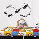 Vinyl Wall Decal Sticker Bedroom Peter Pan Never Land Kids Never Grow up r1544