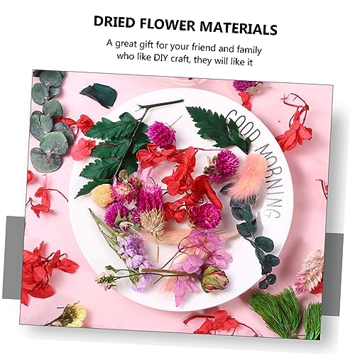 Flores secas naturales para manualidades DIY, ecoamigables miniatura 3
