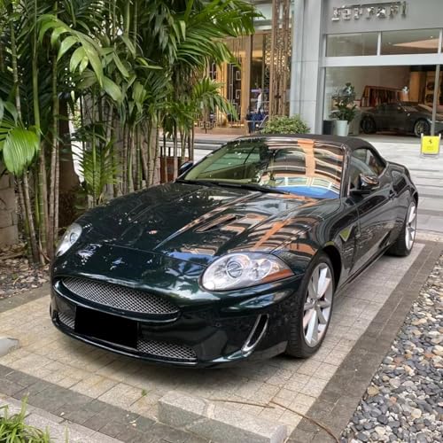 Calandre d'admission air Jaguar XKR XK8 résout la surchauffe avant