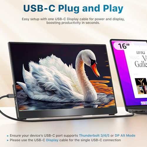 15.6 Inch Portable Monitor