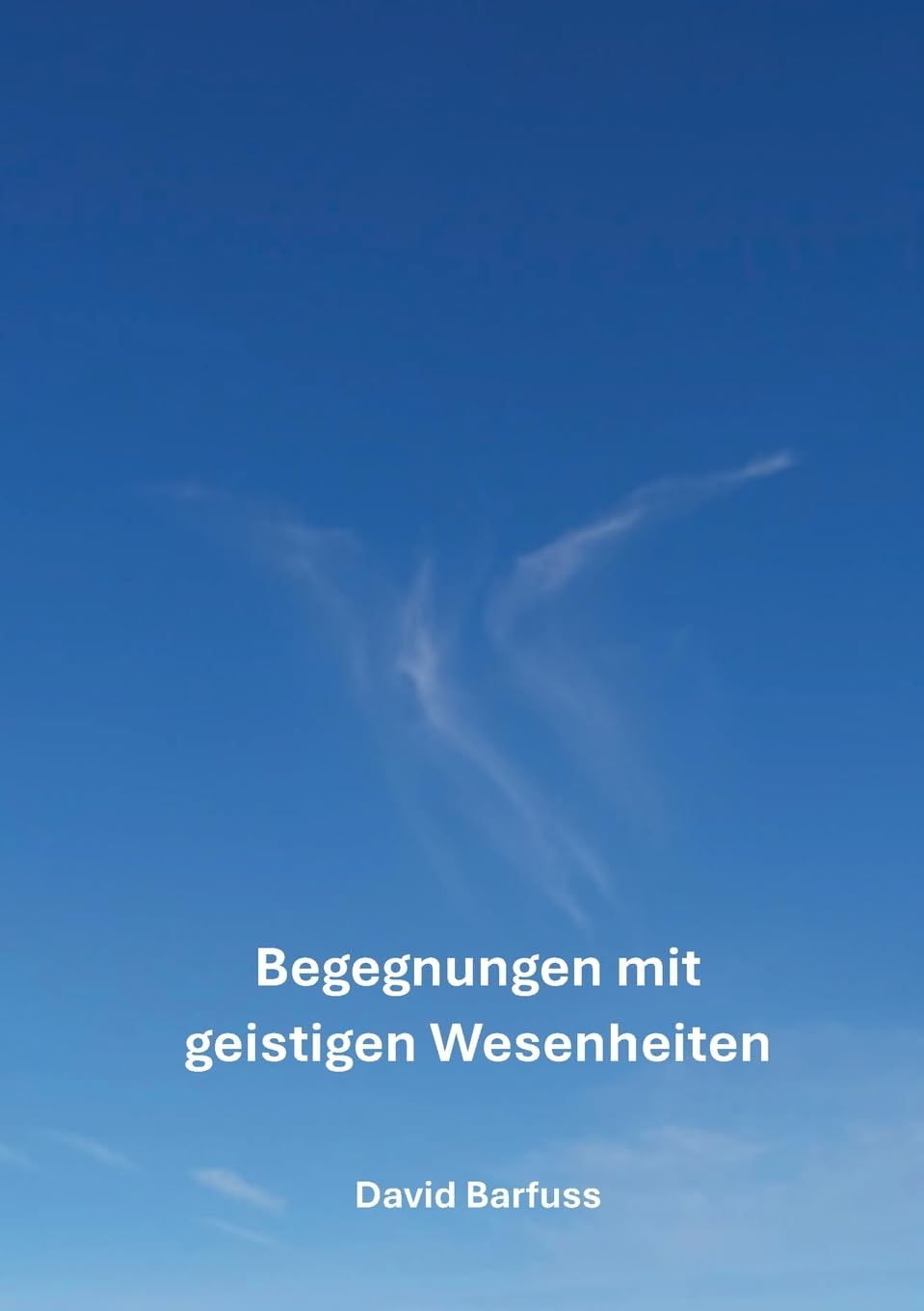 Begegnungen mit geistigen Wesenheiten: Ein spannendes Buch voller interessanter Geschichten und lehrreichen Erkenntnissen über die geistige Welt
