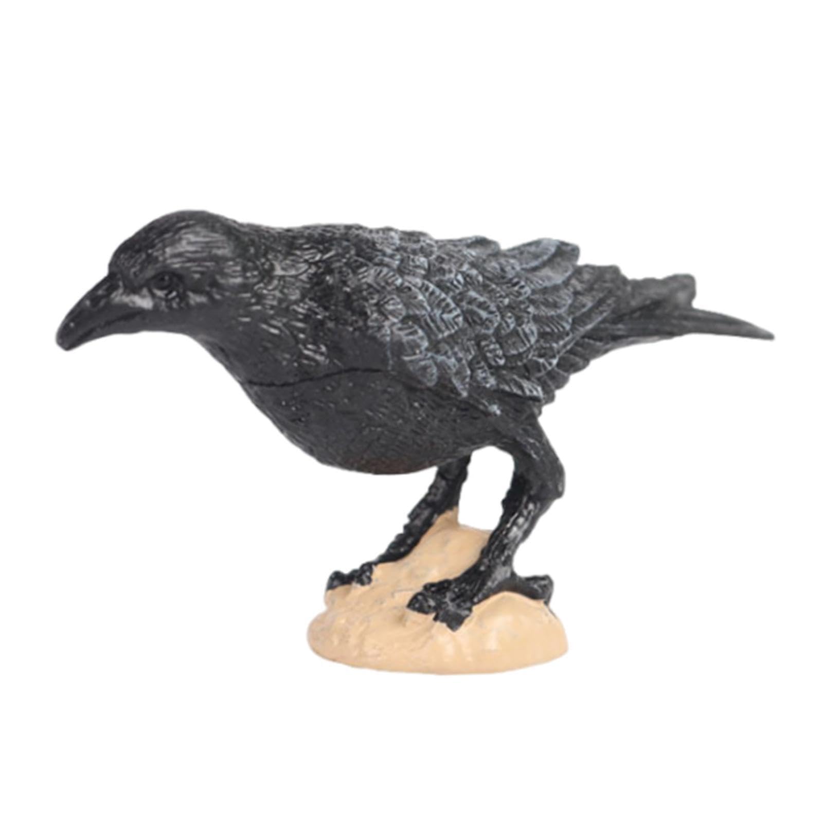 PIXZCSA Raven Figurines Toys For Kids Bird Figures Excellent Learning Resource Promoting Understanding Of Animal Habitats And Behaviors Photography Props