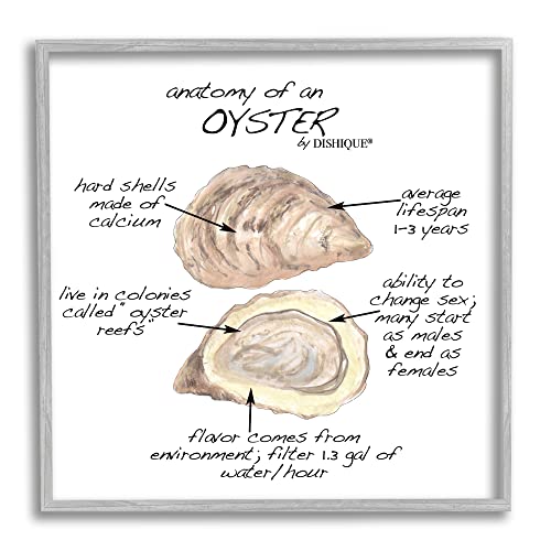 Stupell Industries Oyster Marine Life Anatomy Facts Educational Diagram, Design by Dishique