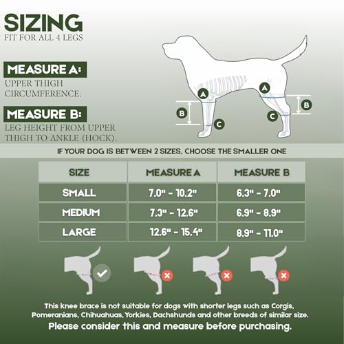 Image of Adjustable Dog Knee Brace for Torn ACL and Luxating Patella - Support for Back Leg, Hip Dysplasia, and Post-Surgery Recovery. Optimal Comfort and Stability for Your Beloved Pet