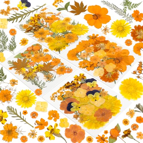 Image of 220 Pcs Dried Pressed Flowers for Resin Crafts, Real Natural Pressed Flowers and Leaves Kit Butterfly Stickers Vacuum Sealed Dry Flowers for DIY Epoxy Resin Jewelry Molds, Candle Soap Making, Nail Art