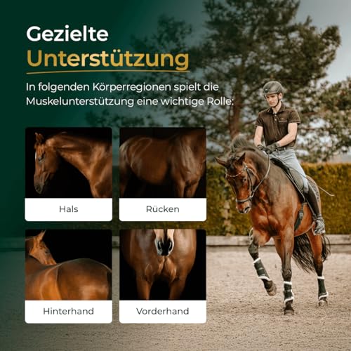 Pferdegold Muskeln+ – Proteinreiche Pferde‑Pellets (52 % Rohprotein) mit 21 Aminosäuren, Spirulina & Chlorella – ADMR‑konform, dopingfrei (750 g)