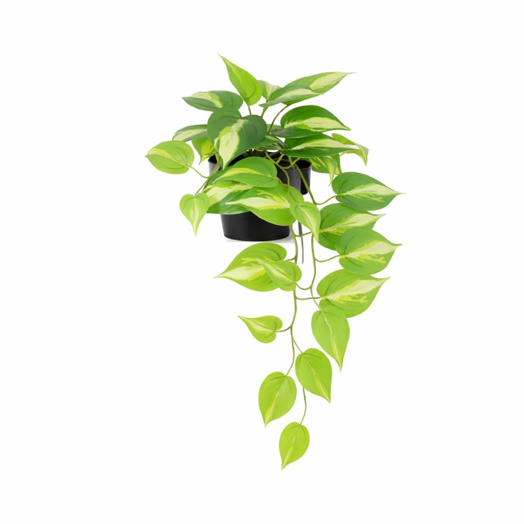 Planta Artificial Epipremnum Variegata para Decoración, 37 cm