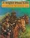 A Right Fine Life: Kit Carson on the Santa Fe Trail