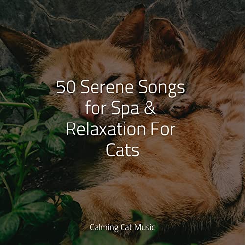 Amazon MusicでMusic For Resting Cats Music For Relaxing Cats And Music For Cats Deluxeの50 Serene preview