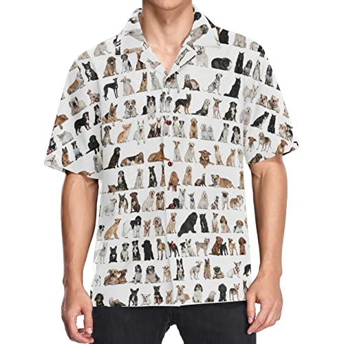 visesunny Stylish Men's Seasonal Hawaiian Casual Button Down Short Sleeve Shirt
