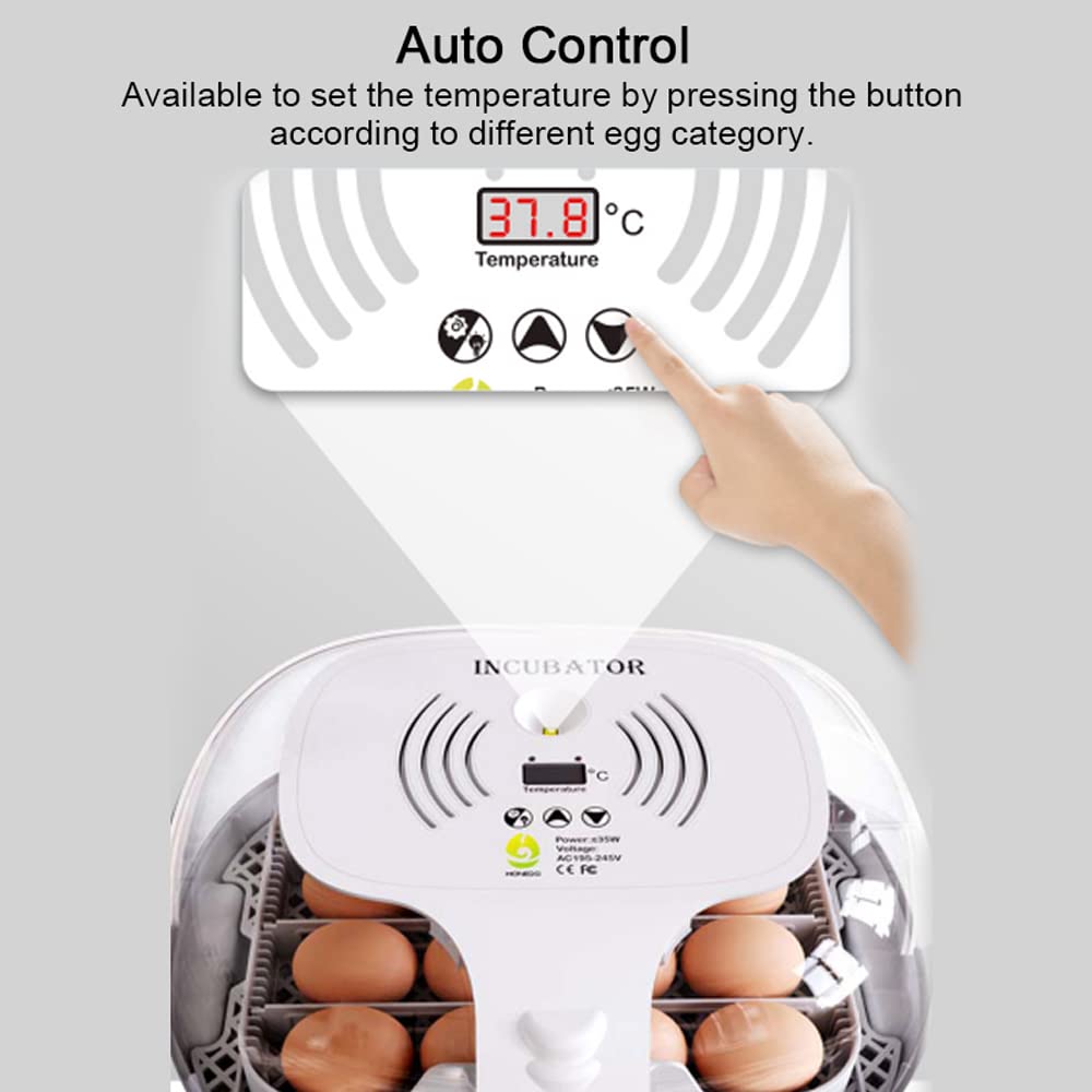 Ei-Inkubator zum Schlüpfen mit automatischer Eierdrehung, LED-Ei-Testlampe, klarer Deckel, leicht zu waschen, 16 Eier, Geflügelbrüter, Bauernhof, Vogel, Wachtel, Huhn, Geflügelfarm, Brüter, W