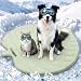 Vagascape Dog Cooling Mat