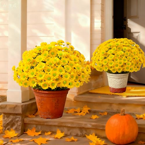 dybyss 10 Bunches Artificial Sunset Mums Artificial Outdoor Sunset Flowers UV Resistant Waterproof Windproof Look Real Fall Vibrant for Sunsets Flowers Outside Decoration (Yellow)