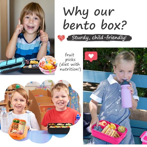 Image of QQKO Bento Box for Kids Adults, School Toddler Lunch Box for Boys Girls, Lunch Box Containers with 4 Compartments, Sauce Container, Utensils, Food Picks and Muffin Cups for School, Black Gray