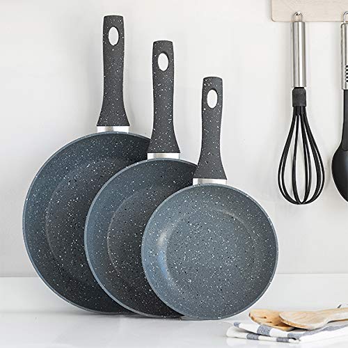 Excellent Housewares V0201352 braadpan, roestvrij staal