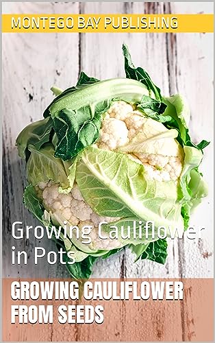 Growing Cauliflower From Seeds: Growing Cauliflower in Pots (Urban Vegetable Gardening)