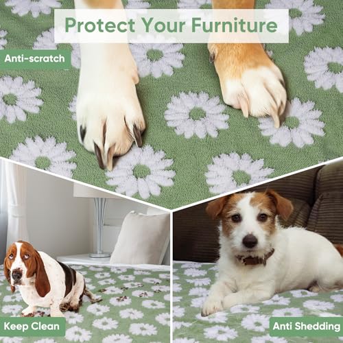 Image of Dog Blanket for Small Medium Large Dogs Fleece Cat Blankets for Indoor Cats Washable Fluffy Pet Bed Blanket Furniture Sofa Couch Cover Protector