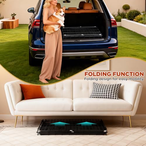 Image of BestPet | Dog Crate | 36 inch | Black | Foldable Metal Kennel with Single Doors
