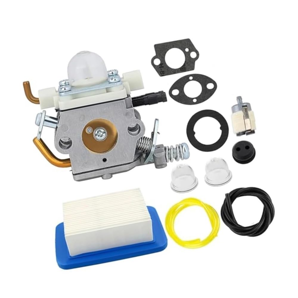Kit carburateur C1M-K76 pour réparer une panne de démarrage et remplacer le filtre C1M-K77