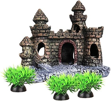 corn snake bioactive kit