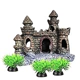 También tenemos otros tipos de productos de la decoración del acuario para la venta. Como plantas de agua artificiales de varios colores y tamaños, roca de piedra artificial y madera de deriva artificial.