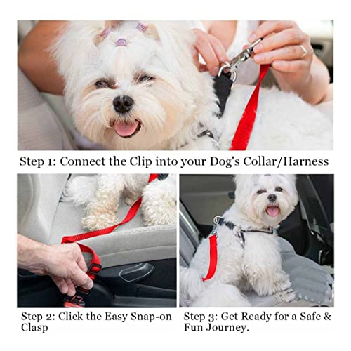 Hundegurt fürs Auto 1 Stück, Anschnallgurt Hund Auto für Kleine/Große Hunde, Sicherheitsgurt Hunde für Auto Einstellbarer Lang und Kurz, Hundeanschnaller fürs Auto Kofferraum