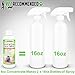 Vet Recommended Ringworm Solution for Dogs (4oz/120ml) - Concentrate Makes Two 16oz Bottles of Spray. Make Your Dog Ringworm Free. Made in USA
