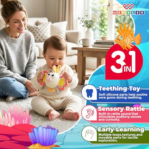 Image of Wembley Teethers Baby Toys for 6 to 12 Months | BPA Free Food Grade Silicone Baby Sensory Motor Skills Montessori Toddler Pull String Activity Toy for Babies | Gift Toys for 3-12 Months Girl Boy