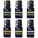 Radha Beauty Aromatherapy Top 6 Essential Oils (Lavender, Tea Tree, Eucalyptus, Lemongrass, Orange, Peppermint) - 100% Natural Basic Gift Set for Aromatherapy, Diffusers, Soap, DIY Skincare