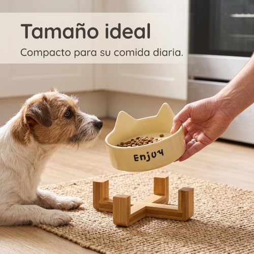 Cuenco de cerámica con orejas de gato y soporte ergonómico de madera maciza 3