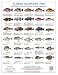 Tackle Box I.D. Florida Saltwater Fish Identification Card - Jumbo Edition - 60 Common Fish - May 2019 Rules