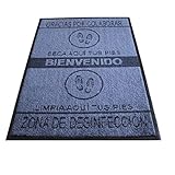 LUA VIKA Felpudo desinfectante Calzado - Alfombra Limpia Zapatos para la Entrada, felpudos Entrada casa Originales, moqueta higienizante (70_x_150_cm)
